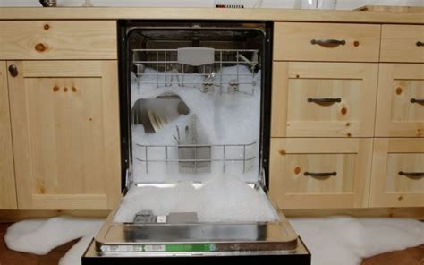 amana dishwasher leaking|Amana Dishwasher leaking: Causes + Fixes